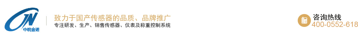 蚌埠傳感器系統工程有限公司